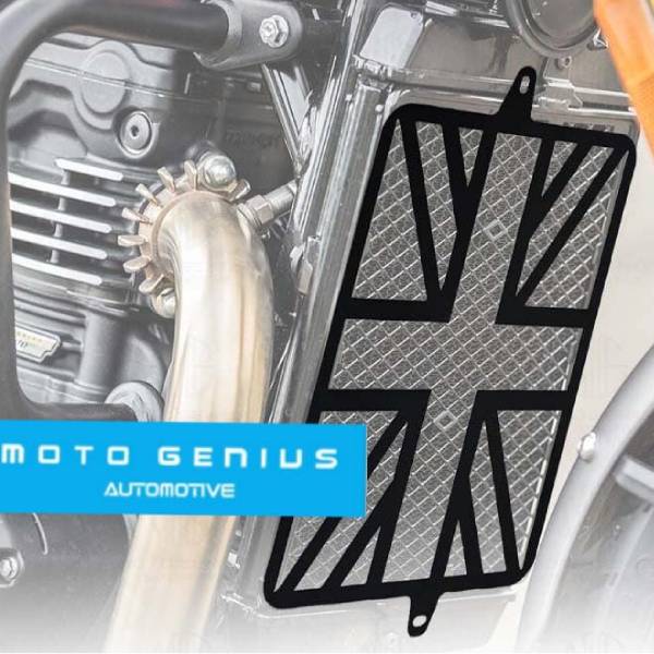 TRIUMPH 400 RADIATOR GUARD