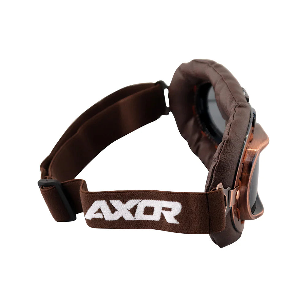 Axor Motorcycle Goggles P101