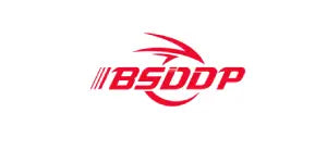 BSDDP