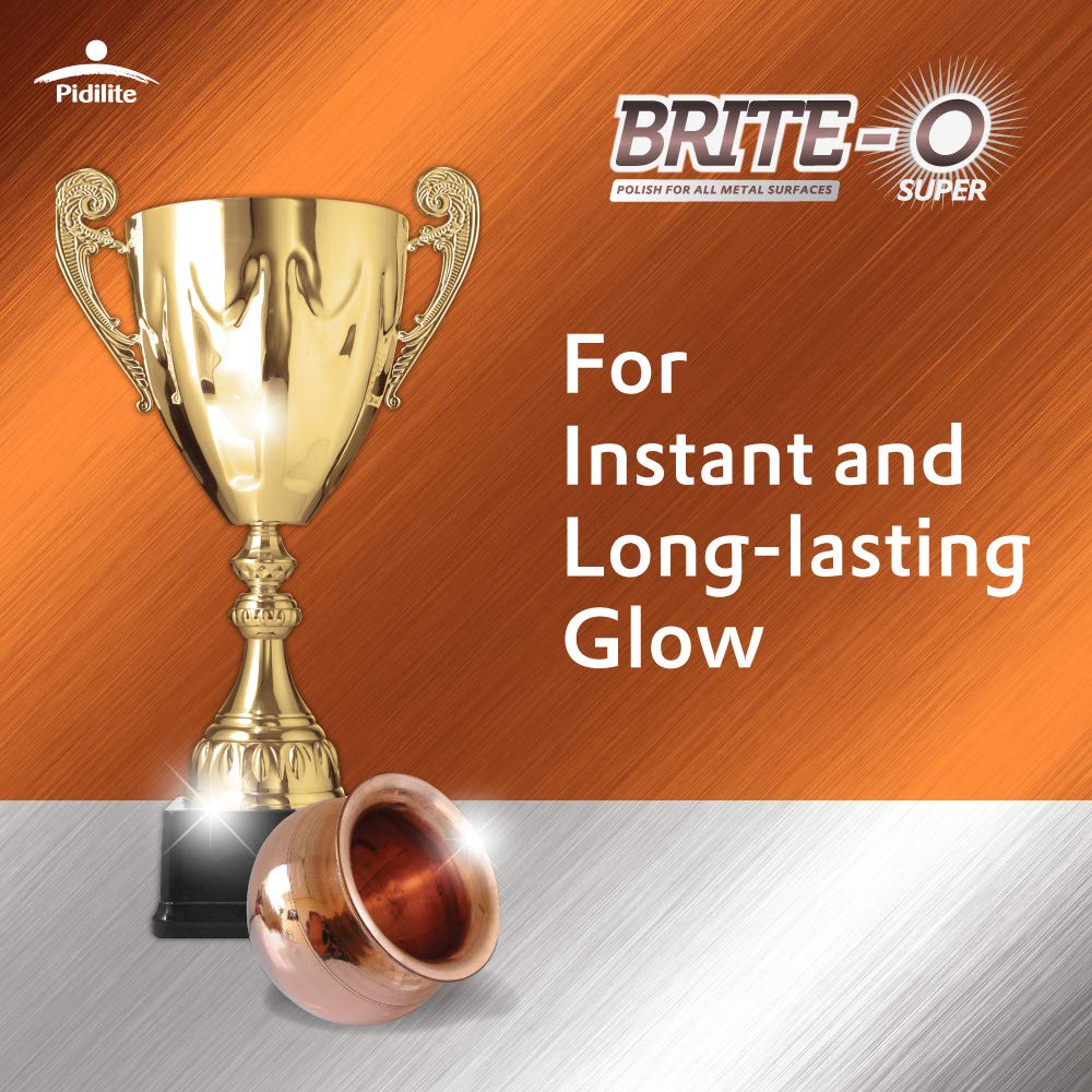 Pidilite Industries Brite-O (25g)