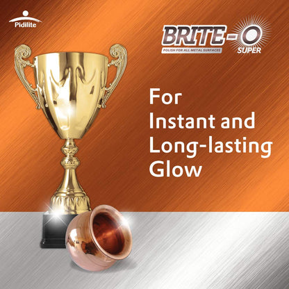 Pidilite Industries Brite-O (25g)