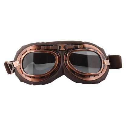 Axor Motorcycle Goggles P101